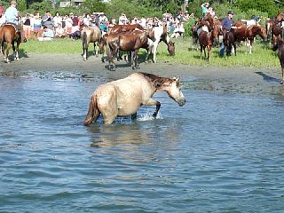 P7250027.JPG