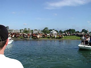 P7250028.JPG