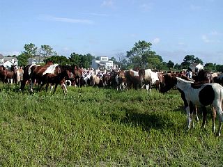 P7250035.JPG