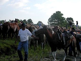 P7250037.JPG