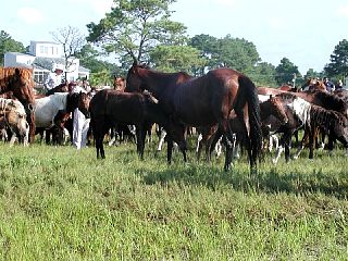 P7250039.JPG