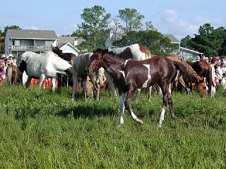 P7250040.JPG