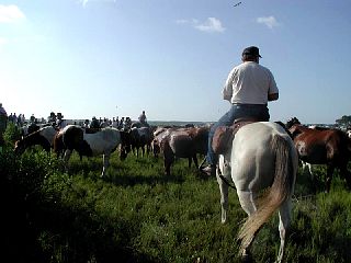 P7250041.JPG