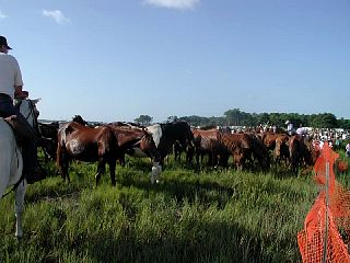 P7250042.JPG