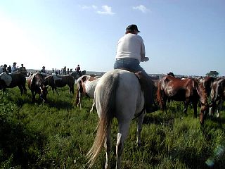 P7250043.JPG