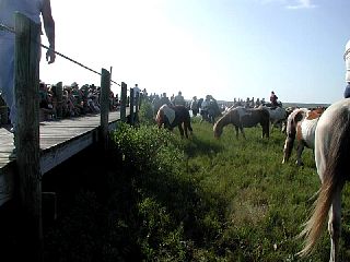 P7250044.JPG