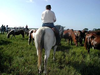 P7250045.JPG