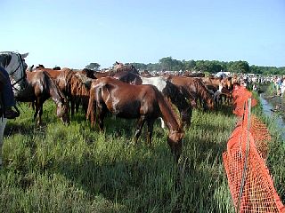 P7250046.JPG