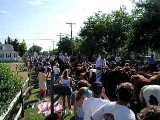 P7250006.JPG