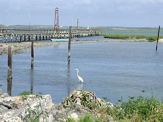 P7250009.JPG