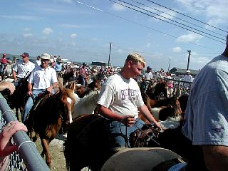 P7250020.JPG