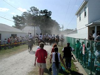 P7250027.JPG