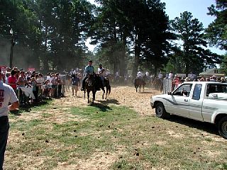 P7250033.JPG