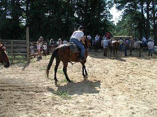 P7250039.JPG