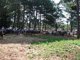 P7250041.JPG