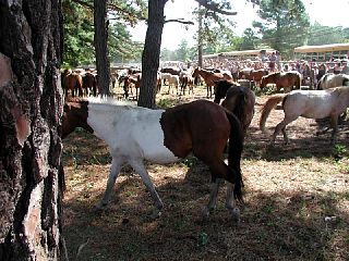 P7250042.JPG
