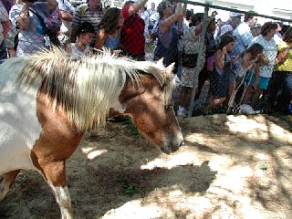 P7250043.JPG