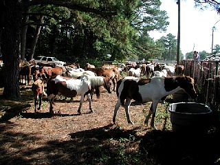 P7250044.JPG