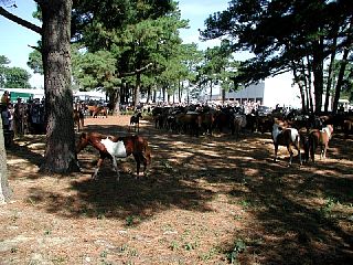P7250045.JPG