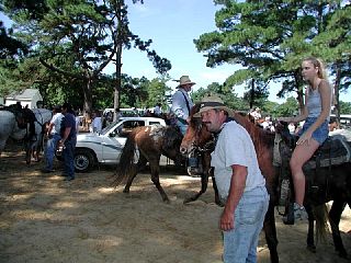 P7250049.JPG