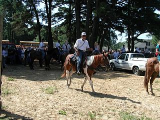 P7250051.JPG