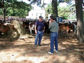 P7250057.JPG