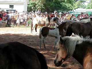 P7250061.JPG