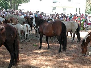 P7250064.JPG