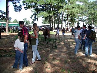P7250066.JPG