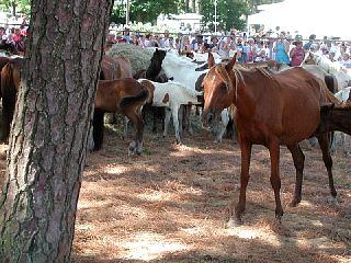P7250067.JPG