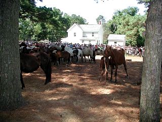 P7250068.JPG