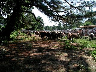 P7250070.JPG