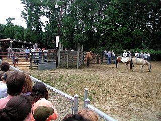 P7250804.jpg