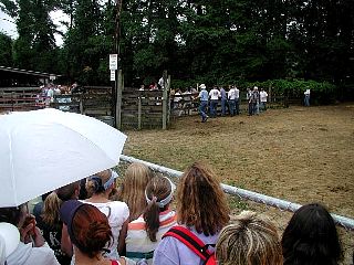 P7250806.jpg