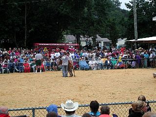 P7250808.jpg