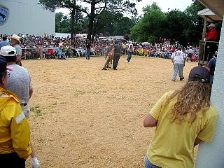P7250811.jpg