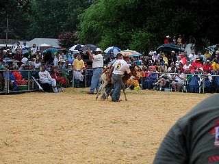P7250812.jpg