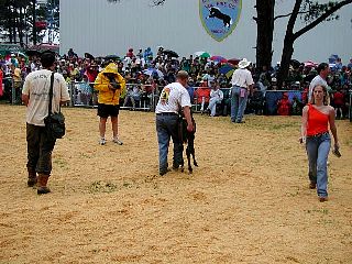 P7250821.jpg