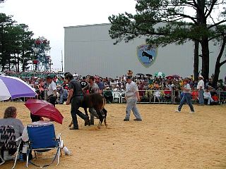 P7250831.jpg