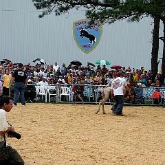 P7250840.jpg