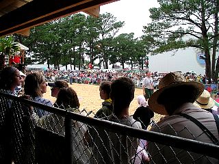 P7250844.jpg