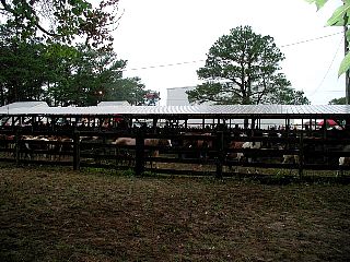 P7250845.jpg