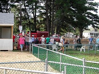 P7260850.jpg