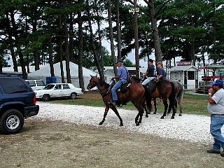 P7260855.jpg