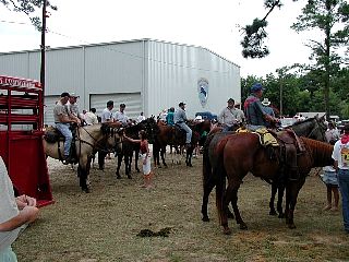 P7260858.jpg