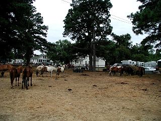 P7260863.jpg