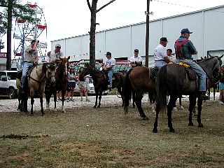 P7260867.jpg