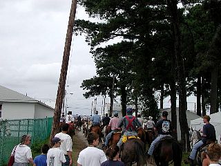 P7260877.jpg