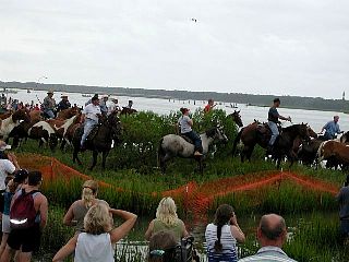 P7260894.jpg