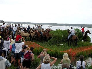 P7260895.jpg
